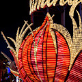 The Flamingo Main Neon Sign Profile
